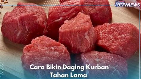 Idul Adha Sebentar Lagi Ini Cara Bikin Daging Kurban Tahan Lama