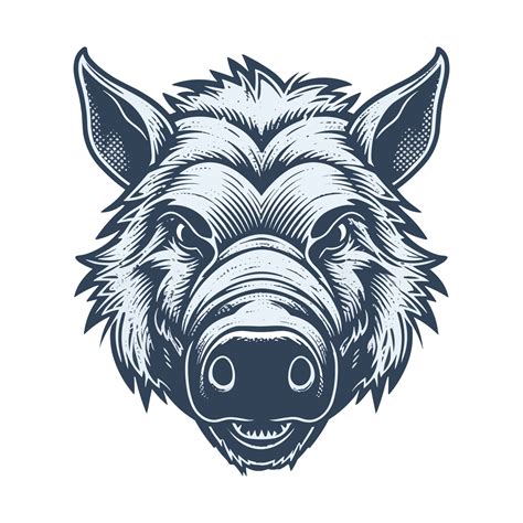 Wild Boar Face Drawing