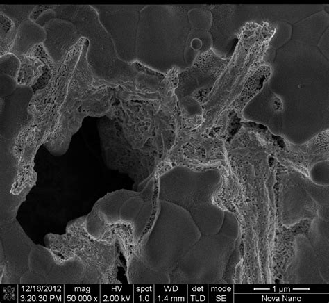 SEM Micrograph Of LSM Nanoparticles Coating The YSZ Porous Substrate