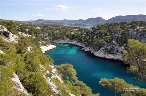 Fonds Décran Calanque De Port Pin Dans Le Parc National Des Calanques