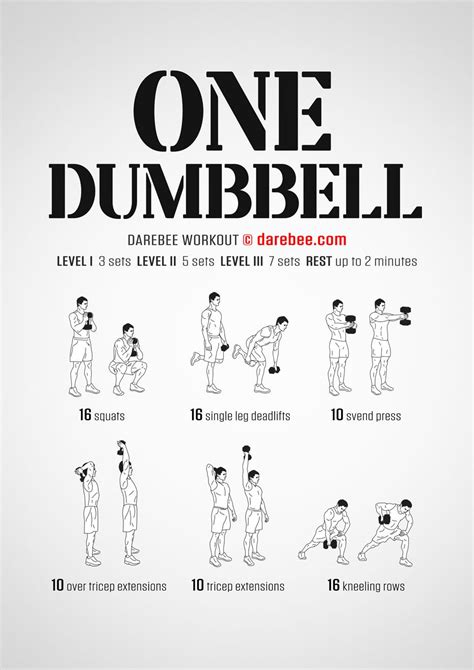 One Dumbbell Workout | One dumbbell workout, Dumbbell workout, Dumbell workout