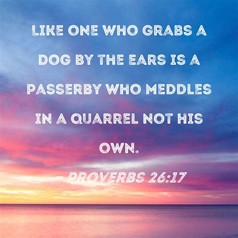 Deep Dive Seeking Scripture Proverbs 24 26 5
