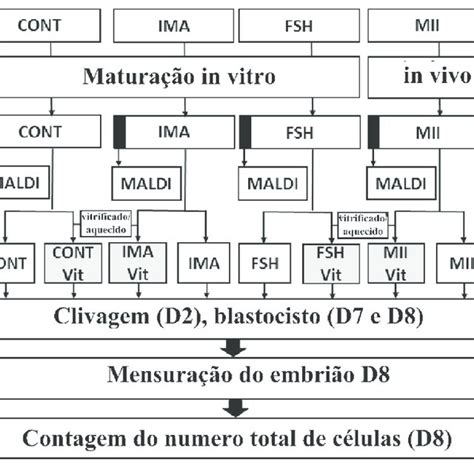 1 Esquema Representativo Do Desenho Experimental Download High