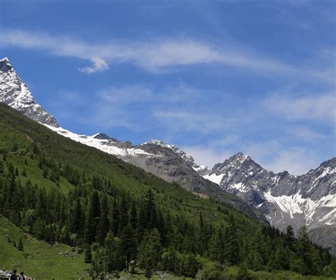 ArtStation - Mountains of western China——Snow mountain、dead tree、meadow ...