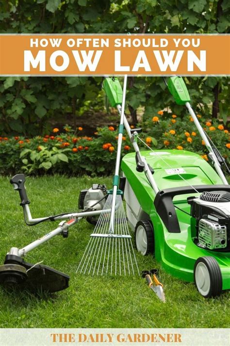 How Often Should You Mow Your Lawn Mowing Lawn Warm Season Grass