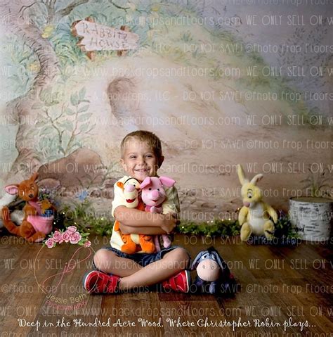 Winnie The Pooh Backdrop Winnie Pooh Bear Rabbit Piglet Honey