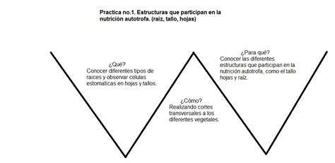 Curso De Biolog A V De Gowin Pr Ctica No