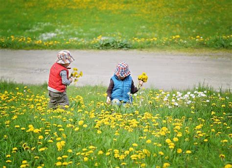 Kleine Kr Uterexperten Gesucht Ihr Heilpraktiker In Cottbus Petra