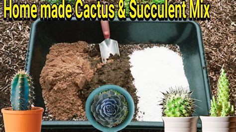 Best Potting Mix For Cactus And Succulent Home Made Potting Mix For Cactus And Succulent