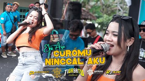 COROMU NINGGAL AKU Eka Ayu TIGA SATU MUSIC Live PEMUDA GUMUK