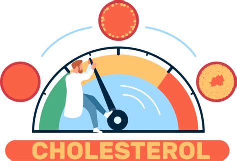 Cholesterol Co To Jest Rodzaje Normy I Wp Yw Na Zdrowie Dr Lifestyle