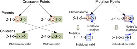 Examples Of Crossover And Mutation Operations Download Scientific Diagram