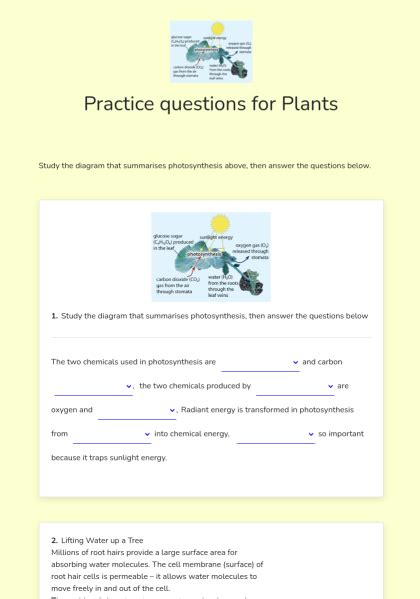 Plant Responses Worksheet