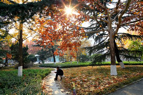 校园深秋 山东科技大学泰安校区