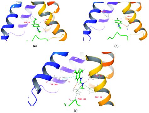 Docking Predicted Binding Modes Of Compounds A 3c B 3f And C Download Scientific