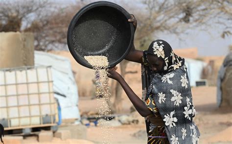 Inseguridad alimentaria bate récord con niveles espantosos ONU