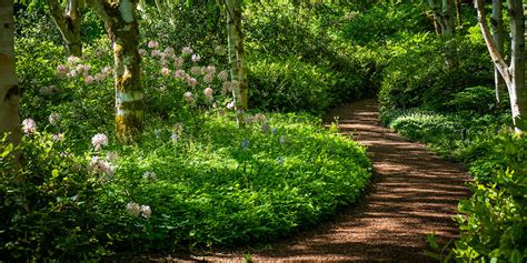 Bloedel Reserve | Puget Sound Gardens