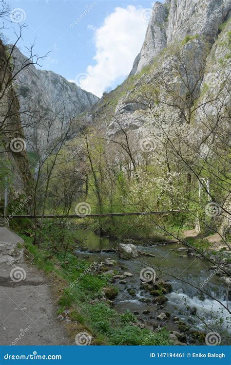 The Turda gorge stock image. Image of nature, gorge - 147194461