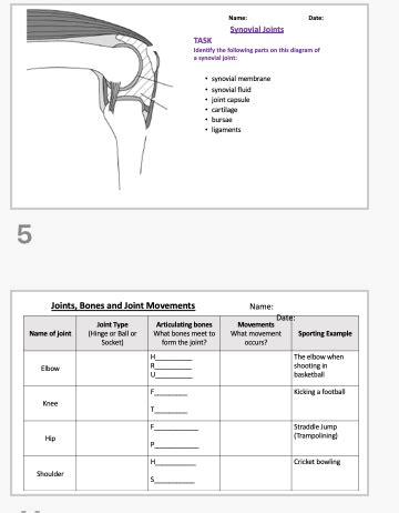 Gcse Pe Musculoskeletal System Lesson Notes And Worksheets Teaching