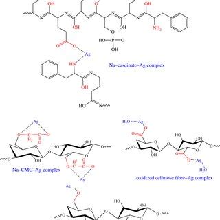 Possibilities of Ag-complex formation versus biopolymer type. (R:... | Download Scientific Diagram