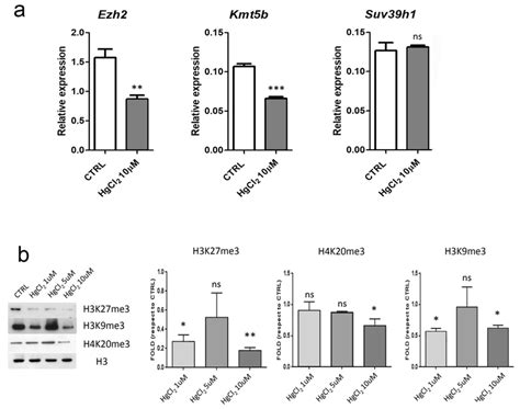 A Rt Qpcr Analysis To Quantify The Expression Of The Histone