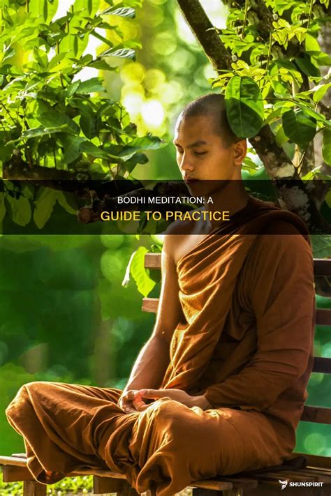 bodhi meditation  guide  practice shunspirit