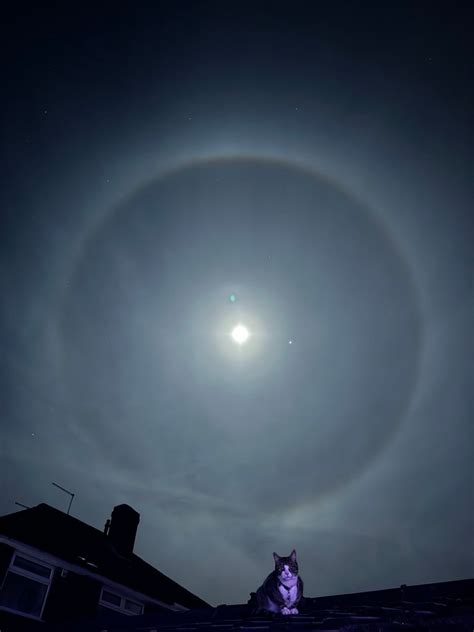 'Unbelievable' moon 'halo' delights onlookers in UK | UK News | Sky News