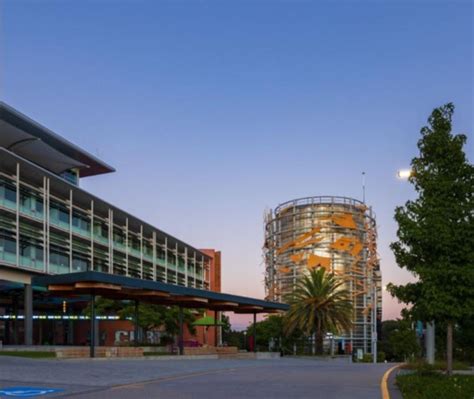 WA universities exposed as academic ghost writer lifts lid on Chinese ...