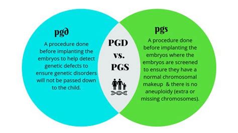 An Ivf Clinician Explains The Differences Between Pgd And Pgs Testing Smg Women S Health