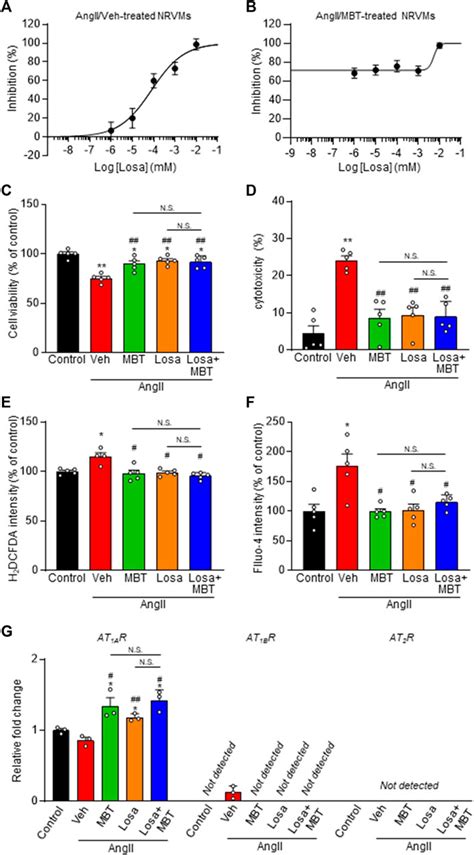 Frontiers Cardioprotective Effects Of Moku Boi To And Its Impact On