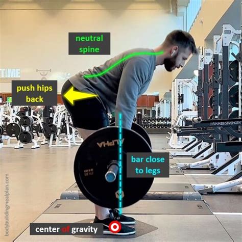 Romanian Deadlift Vs Stiff Leg Deadlift Differences And Muscles Worked