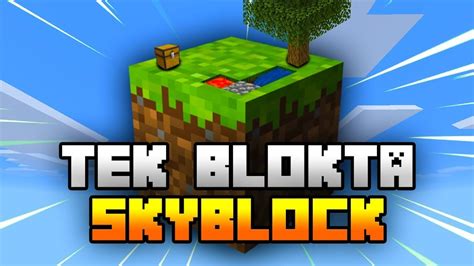 Prem Umsuz T Rk Yen N En Y Tek Blok Skyblock Sunucusu