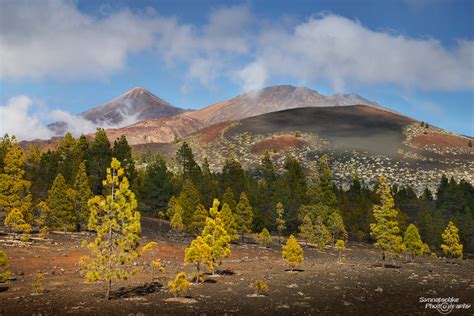 Volcano Samara Tenerife Spain Europe Synnatschke Photography