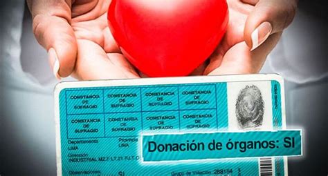 Peruanos Que Digan “sí” A La Donación De órganos Podrán Renovar Gratis