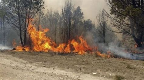 Los Incendios Forestales Ya Arrasaron Con M S De Hect Reas En