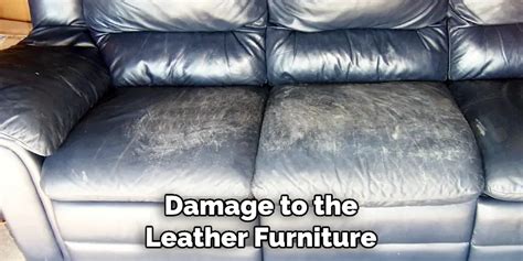 How To Clean Mold Off Leather Furniture In 5 Easy Steps 2024