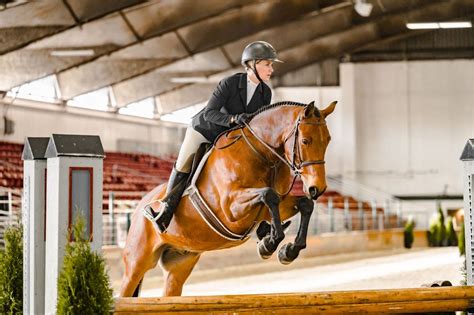 VMP Horse Shows 2023 - Viola Mitchell Photography