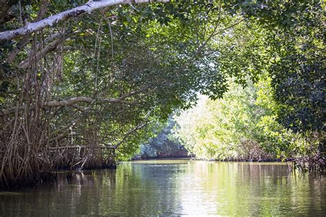 Chacahua Lagoon And The Allure Of Oaxaca S Coastal Marvel Mexico