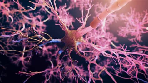 Green Neuron Synapse Network 3d Animation Infinite Loop Inside The Human Brain