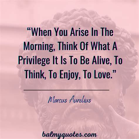 Marcus Aurelius Quotes on Happiness I Balmy Quotes