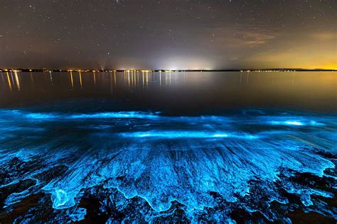 Sea Sparkle Bioluminescence Photo Print Ocean Art Print Bioluminescent ...