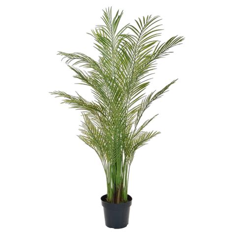 Palme Areca getopft B1 180 cm Im Topf Grünpflanzen Kunstpflanzen