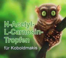 N Acetyl L Carnosin Tropfen F R Koboldmakis By Robert Franz Tine