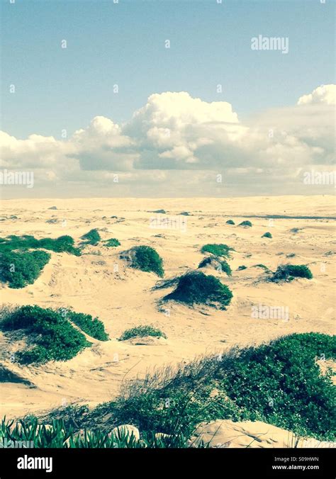 Stockton Beach Sand Dunes Stock Photo - Alamy