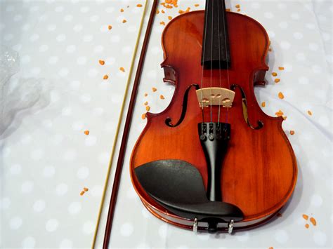 Come Comprare Un Violino Passaggi Illustrato