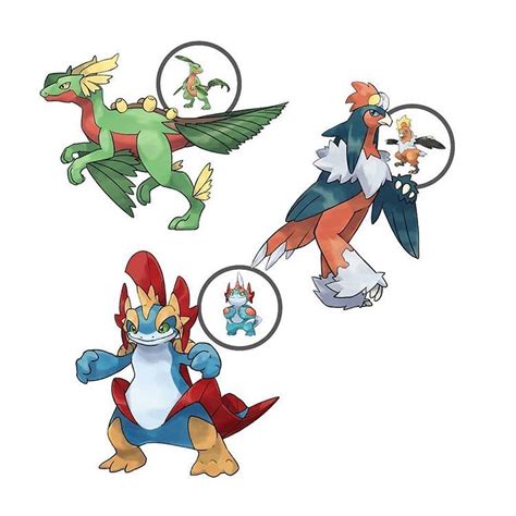 pokemon gen 3 starters evolutions - kibbe-mezquita