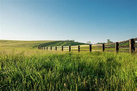 Tall Dewy Grass In Rolling Hills Of Kentucky Photograph By Kelly