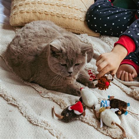 Wi Teczna Zabawka Dla Kota Dingo Myszka Santa Fika Town