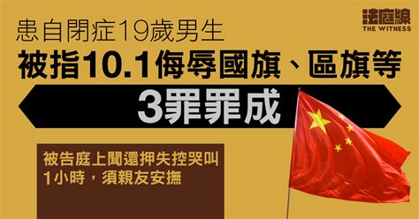 被指毀國旗、區旗旗桿 19歲自閉症男生侮辱國旗等罪成 聞還押失控哭叫1小時 法庭線 The Witness