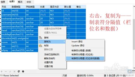 Navicat如何导出excel格式的表结构 Navicat导出表结构到excel Csdn博客